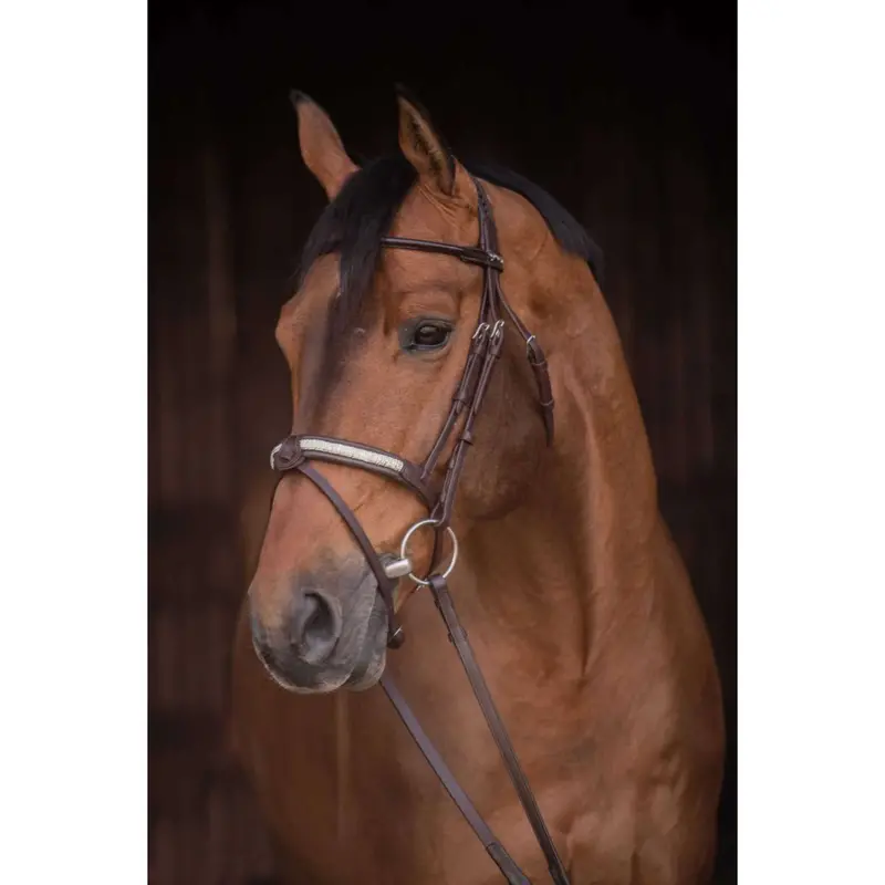 Pénélope Symphonie Bridle In Havana Brown 1