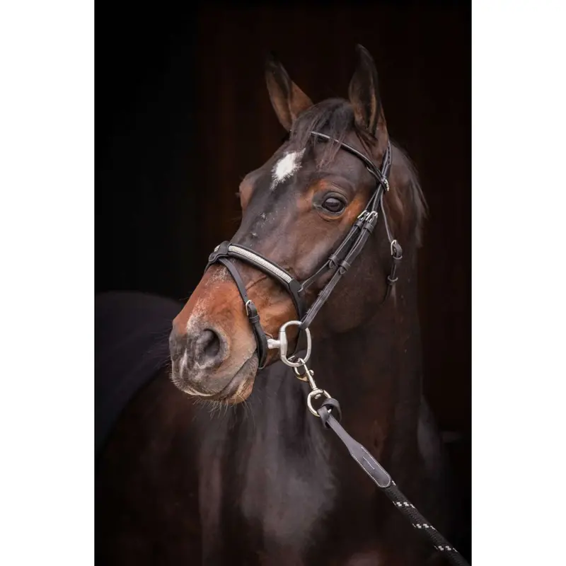 Pénelope Symphony Black Dressage Bridle 1