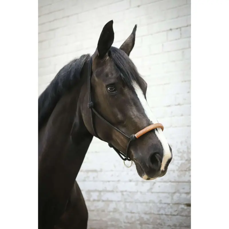 Pénélope Western Rope Halter – Handcrafted Braided Nylon Horse Tack 1