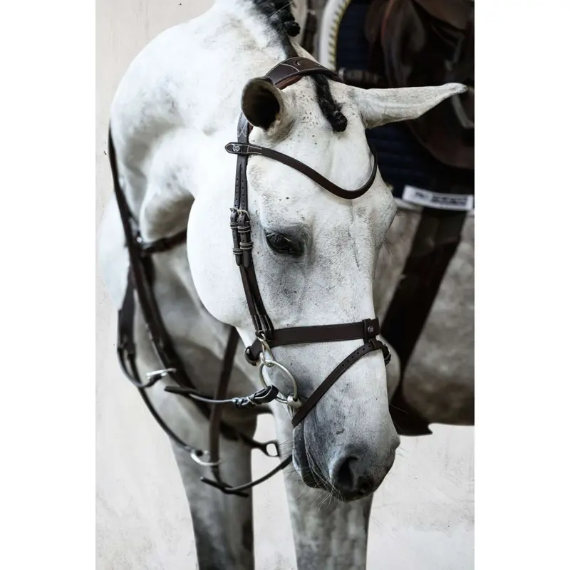 Ps Of Sweden London Brown Bridle 1