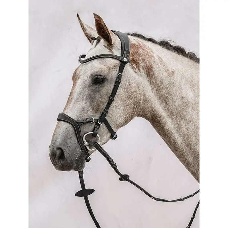 Ps Of Sweden Nirak Black Bridle 1