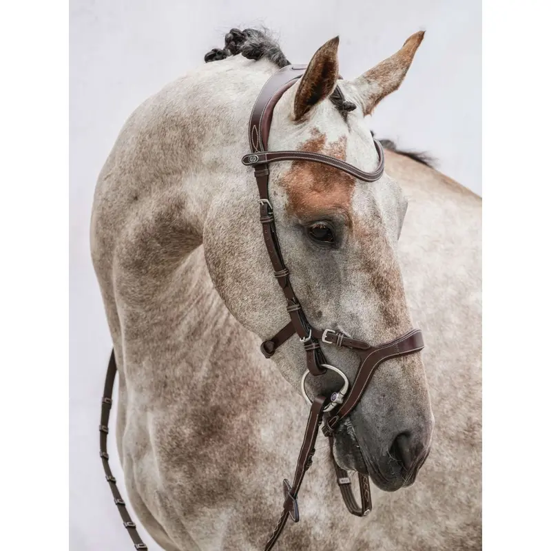 Ps Of Sweden Nirak Brown Bridle 1