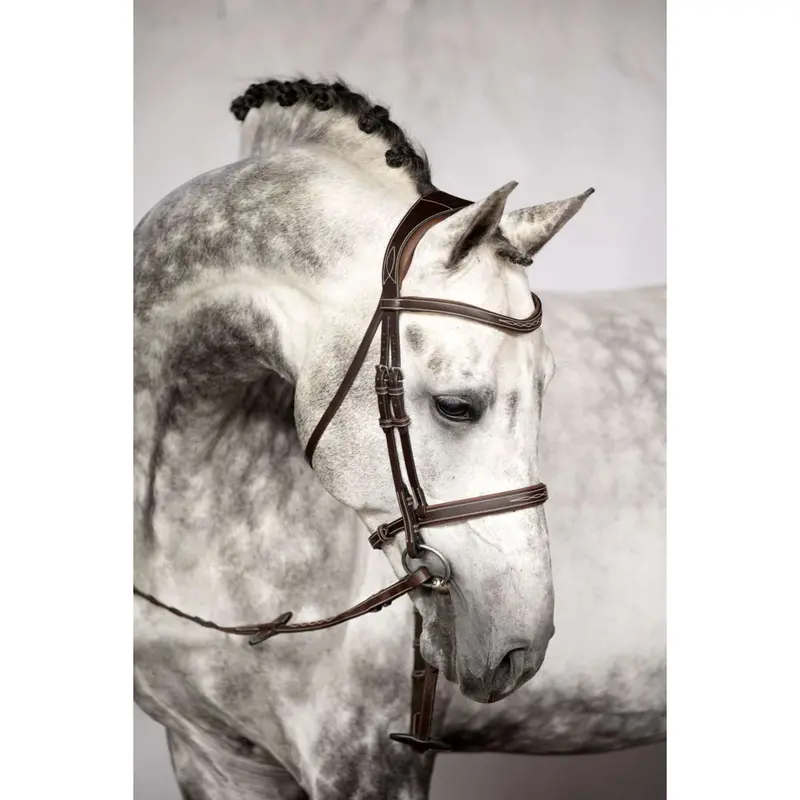 Ps Of Sweden Ocala Brown Bridle 1