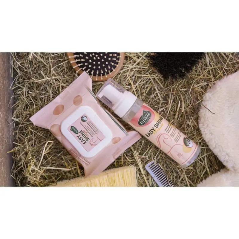 Ravene Easy Shine Polish Wipes For Quick Touch-Ups 1