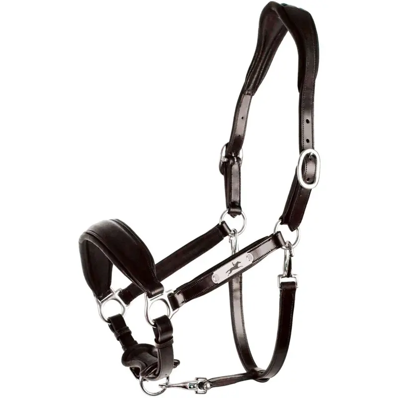 Schockemöhle Fremont Pro Bridle In Espresso With Silver Accents 1