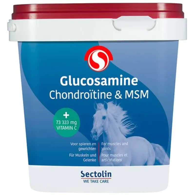 Sectolin Equivital Glucosamine, Chondroitin & Msm 1