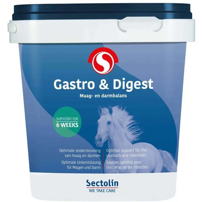 Sectolin Gastrointestinal & Digestive Aid 1