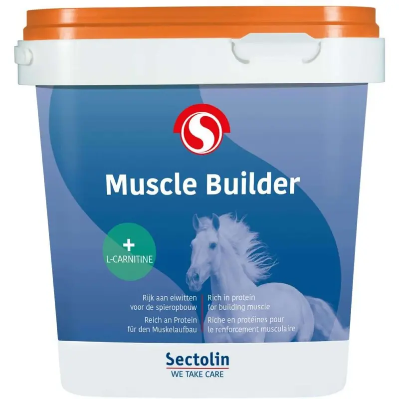Sectolin Muscle Builder Support Supplement 1
