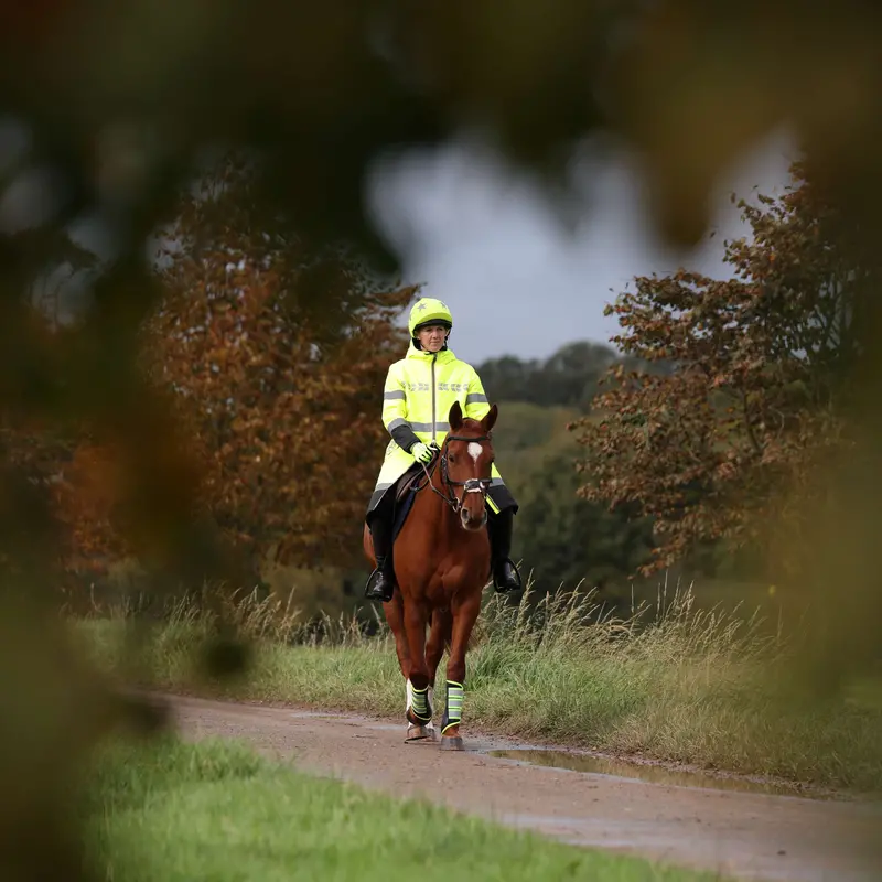 Shires Equi-Flector Safety Vest – Yellow 1