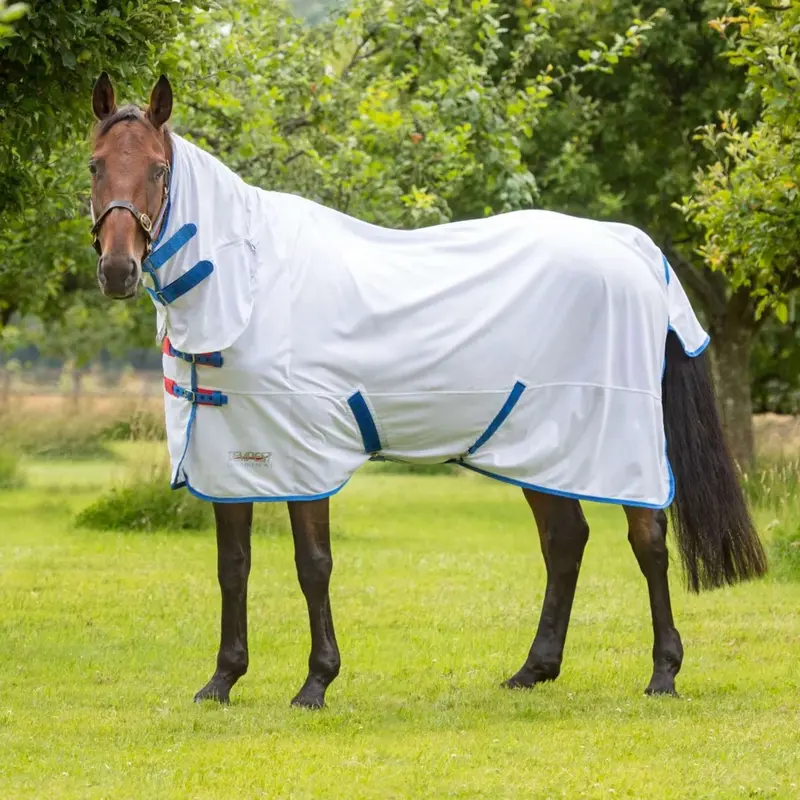 Shires Tempest Original Fly Combo Sheet – White 1