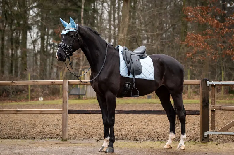 Showtime Spring Dressage Saddle Pad – Light Blue 1