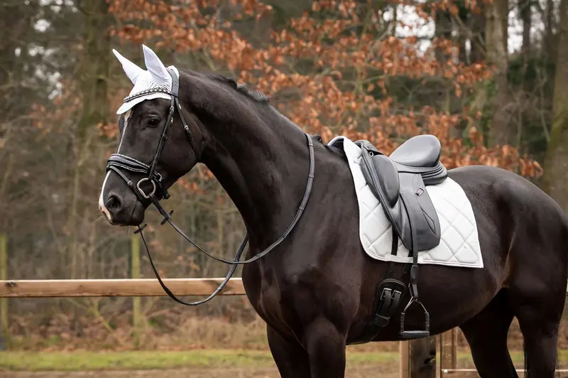 Showtime Spring Dressage Saddle Pad – Silver 1