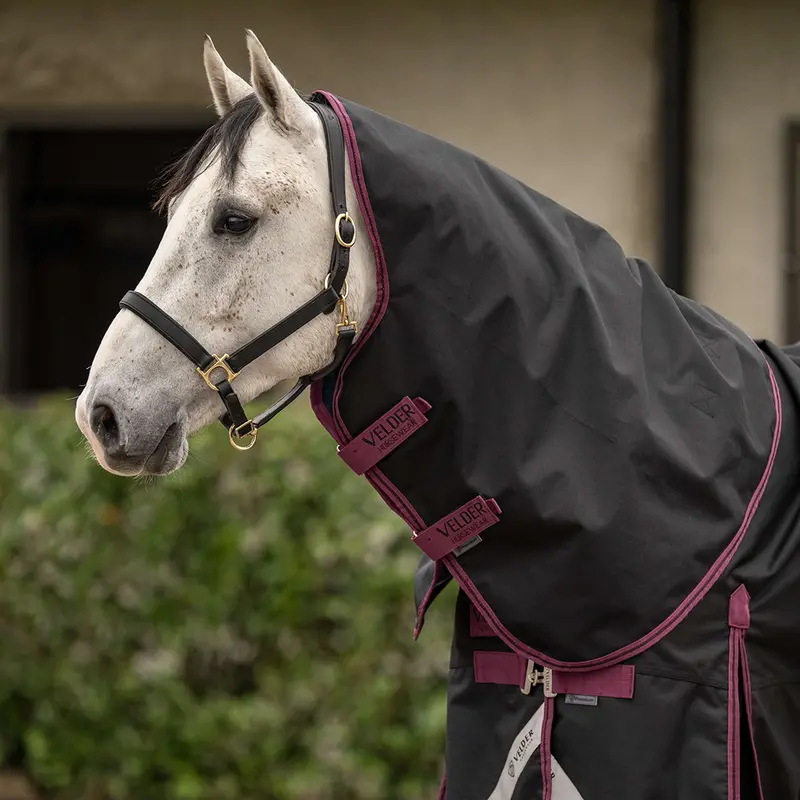 Velder Horsewear 1200D Neck Cover – No Fill, Black 1