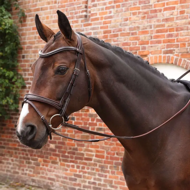 Velociti By Shires Lusso Elite Pro Suregrip Reins In Havana 1