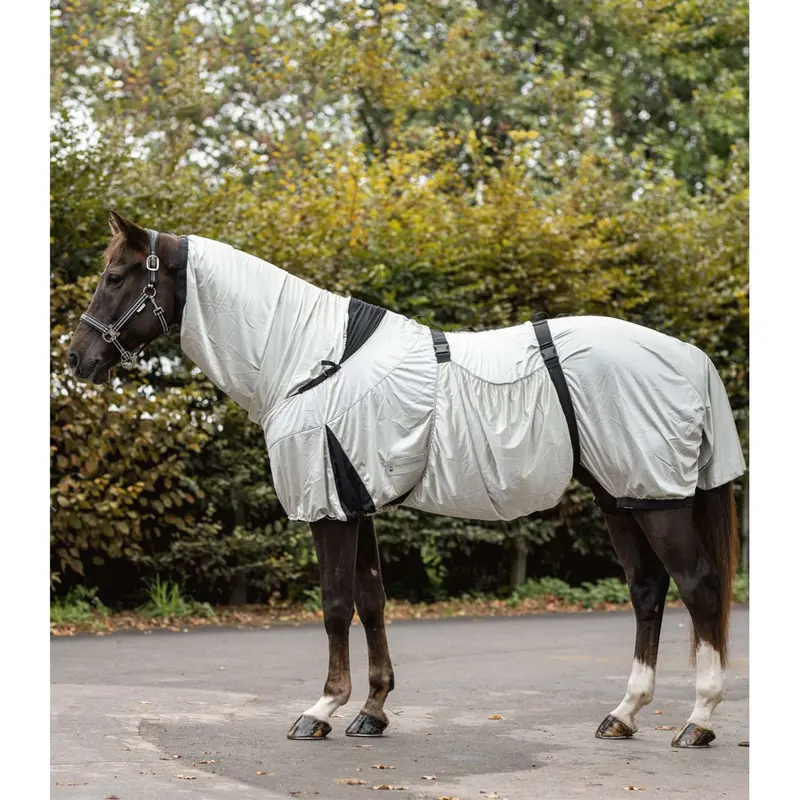 Waldhausen Anti-Eczema Therapy Sheet In Silver-Gray 1