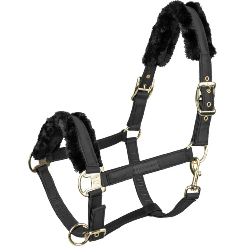 Waldhausen Exclusive Bridle – Black On Black 1