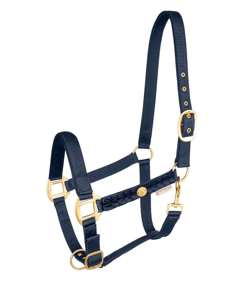 Waldhausen Florenz Headcollar – Night Blue 1