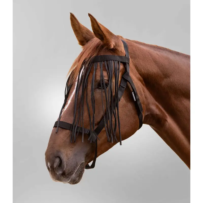 Waldhausen Grazing Halter With Black Trim Fringe 1