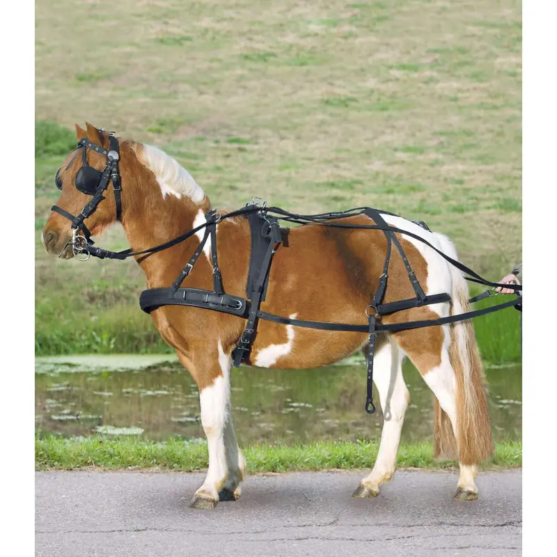 Waldhausen Nylon Simple Halter In Black 1