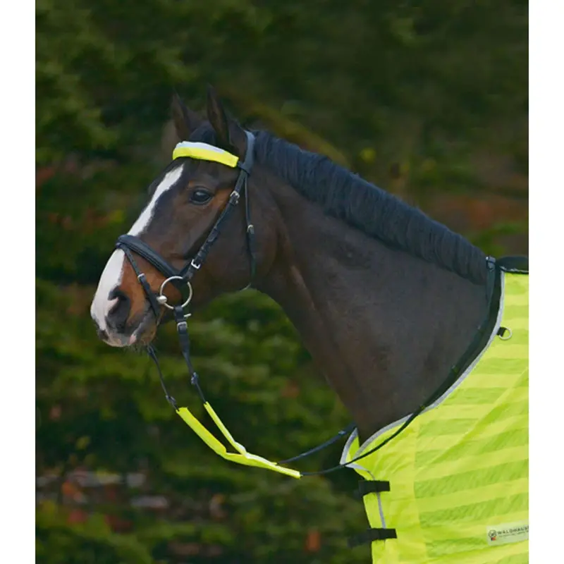 Waldhausen Reflective Bridle Set – 3-Piece Neon Yellow Kit 1