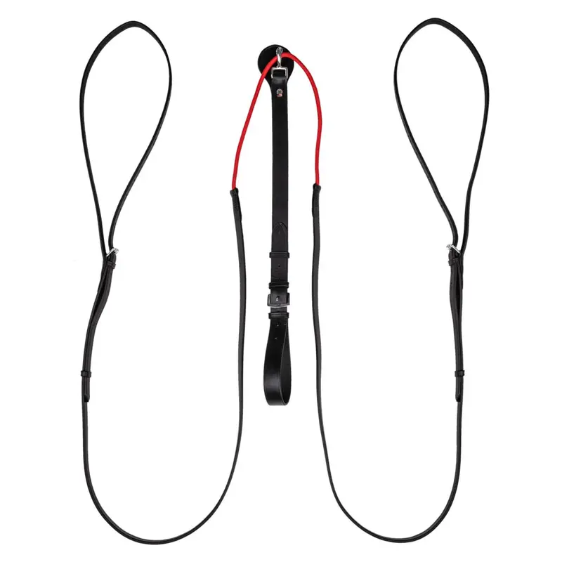 Waldhausen W-Train Reins 1