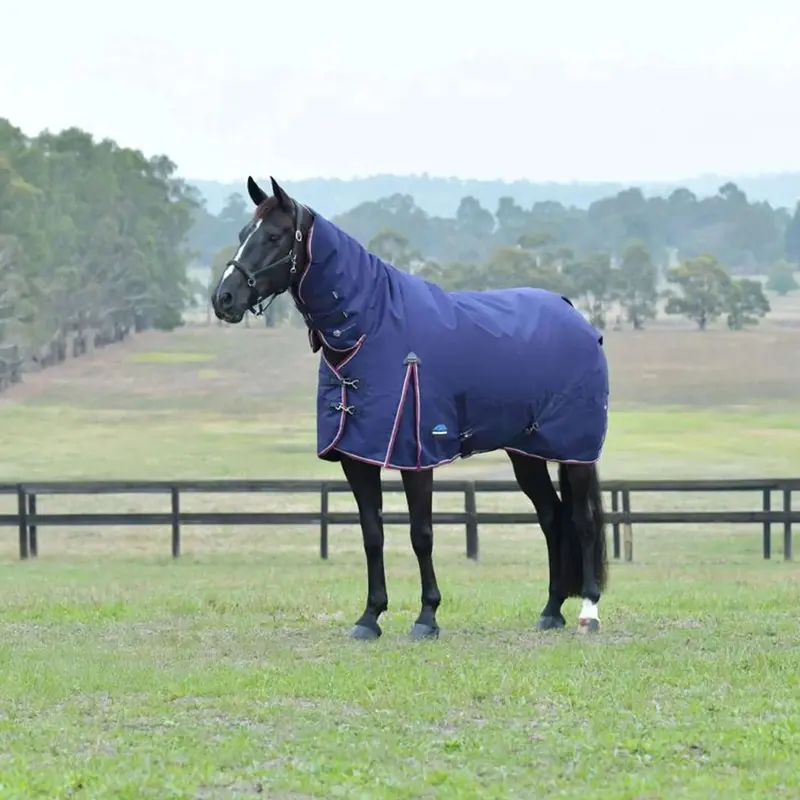 Weatherbeeta Comfitec Essential 220G Turnout Combo Blanket In Navy And Bordeaux 1