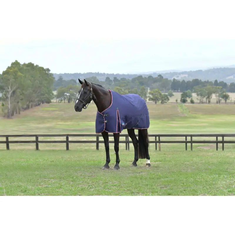 Weatherbeeta Comfitec Essential Turnout Blanket – 50G Navy & Bordeaux 1