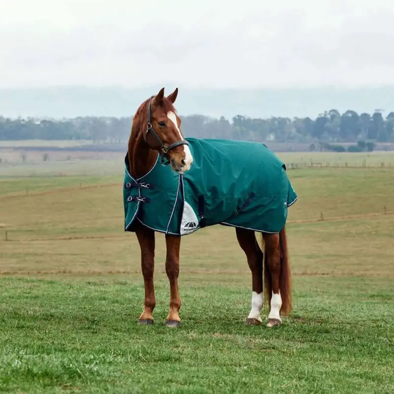 Weatherbeeta Comfitec Plus Dynamic Turnout Blanket – 100G, Forest Green & Navy 1