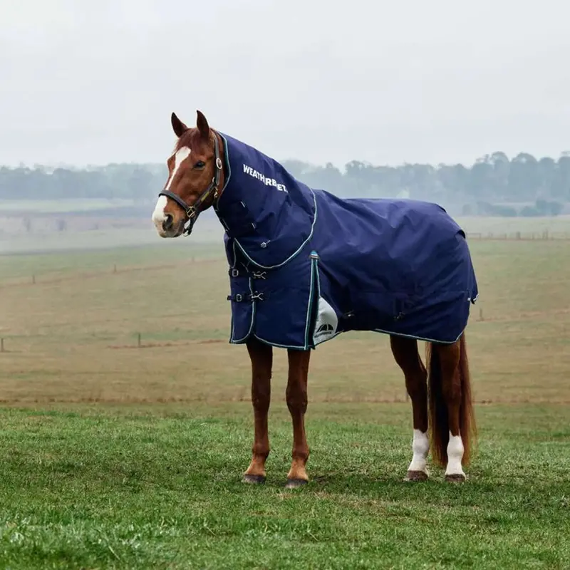 Weatherbeeta Comfitec Plus Dynamic Turnout Blanket – Detachable Neck, 0G, Navy & Forest Green 1