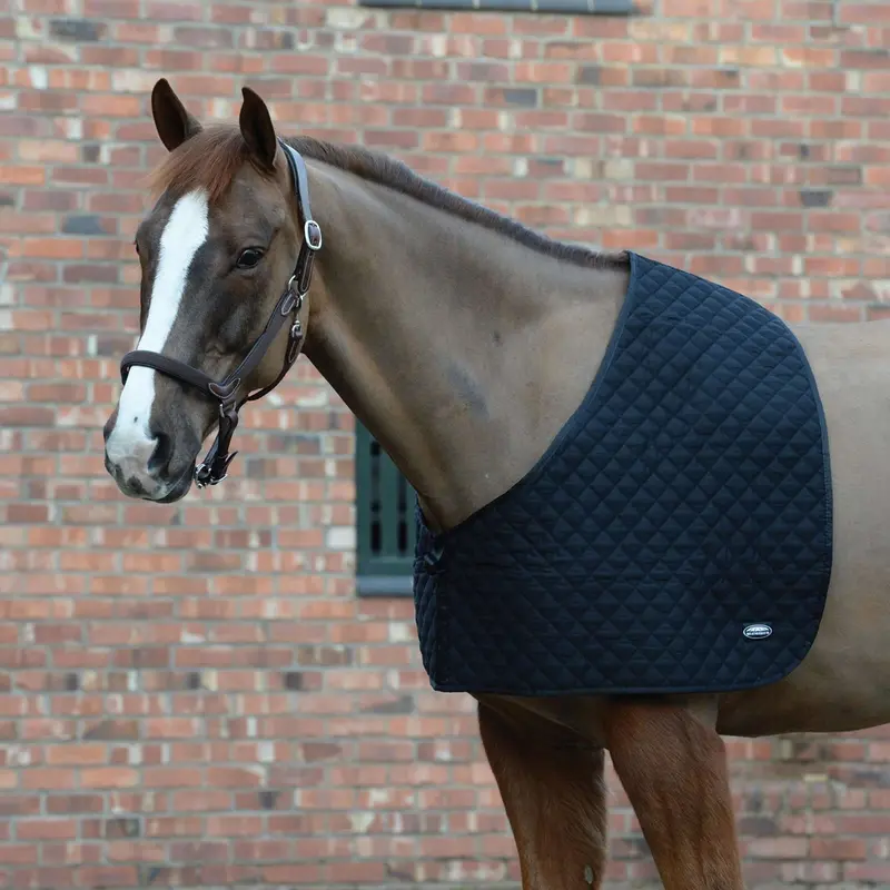 Weatherbeeta Deluxe Shoulder Guard For Horses, Black 1