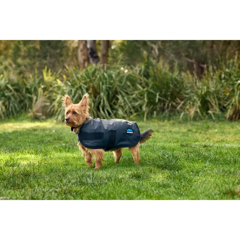 Weatherbeeta Dog Raincoat – Comfitec Classic Waterproof Charcoal Coat 1