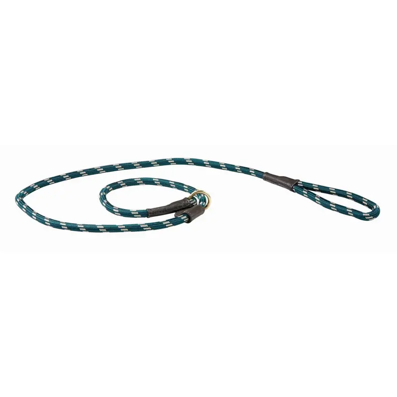Weatherbeeta Leather Slip Dog Lead – Hunter Green & Brown 1