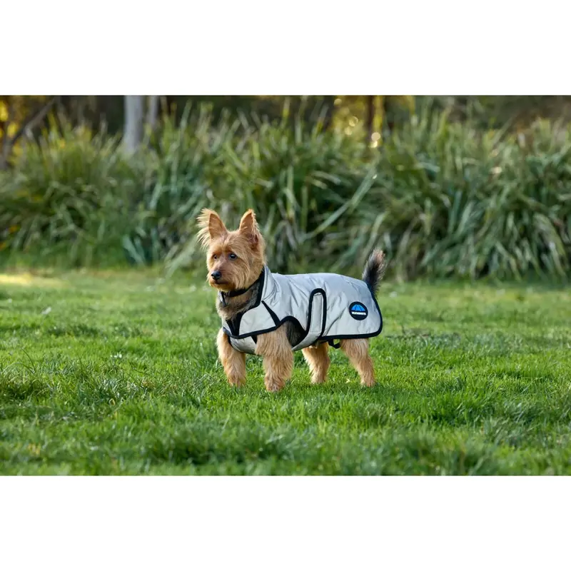 Weatherbeeta Reflective Silver Dog Raincoat – Comfitec Fit 1