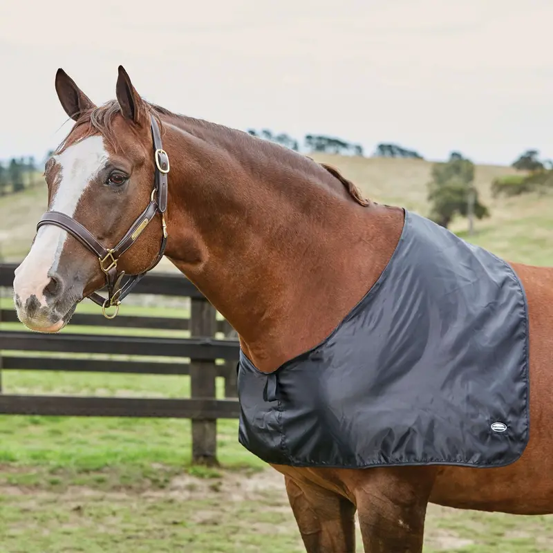 Weatherbeeta Satin Shoulder Guard For Horses, Black 1