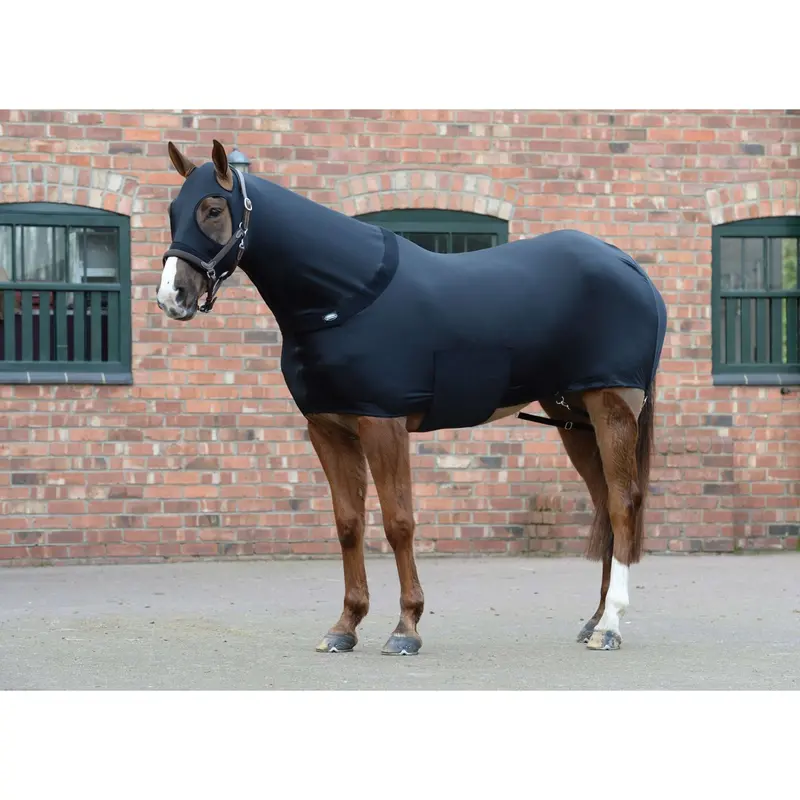 Weatherbeeta Stretch Back Rug For Horses, Black 1