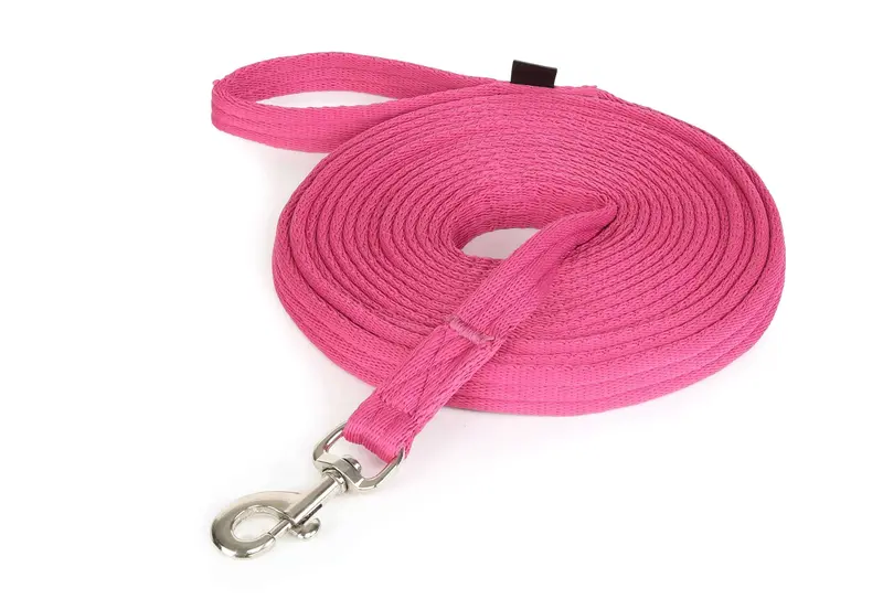 Wessex Longe Faible Raspberry Training Lead 1