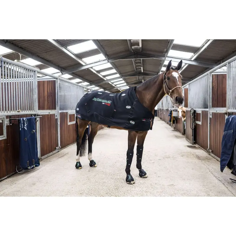 Zandona Air Ventilated Hoof Boot In Black 1